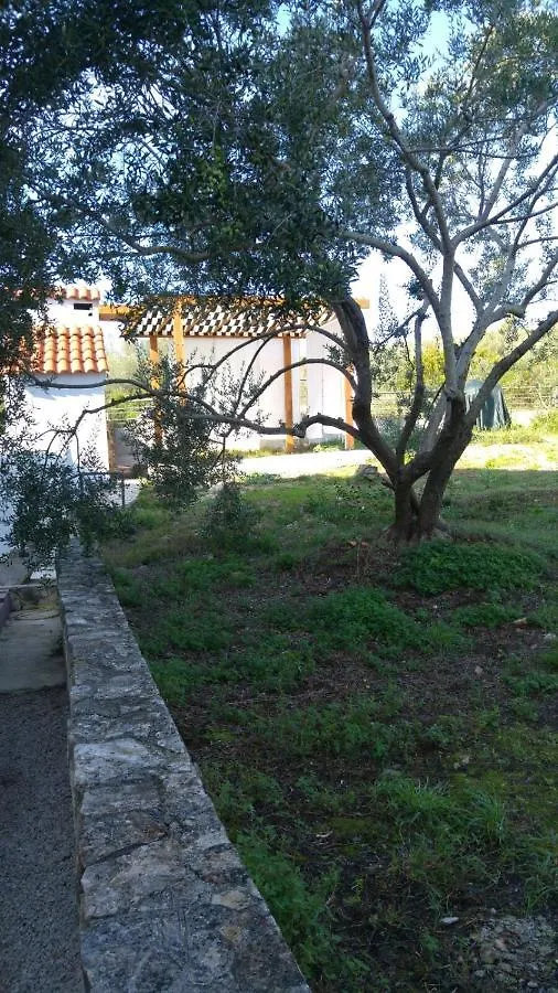 Apartment In Kali With Seaview, Terrace, Air Condition, Wifi