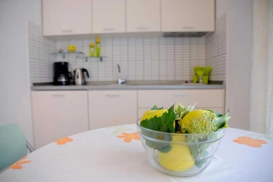 Apartment In Kali With Seaview, Terrace, Air Condition, Wifi Croatia